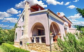 Kamelija Apartments 316
